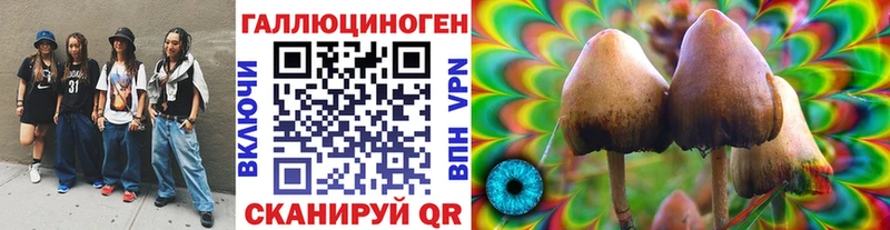 Галлюциногенные грибы GOLDEN TEACHER  Купить закладки  Осинники 